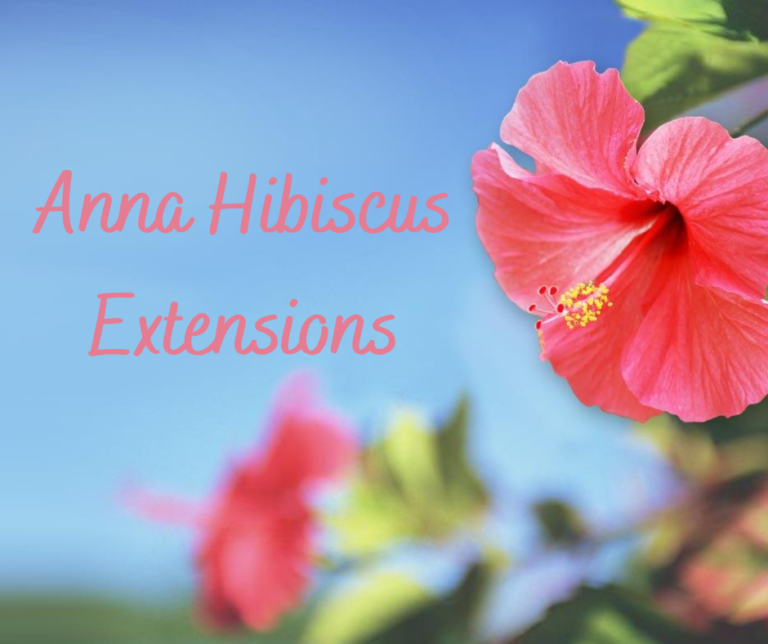 love from anna hibiscus