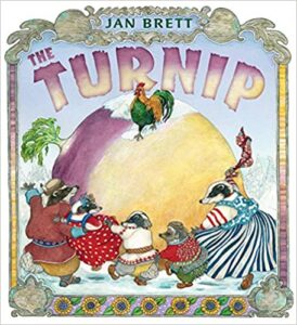 Book Cover: The Turnip