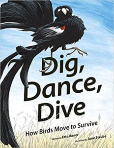 Book Cover: Dig, Dance, Dive