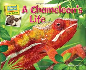 Book Cover: A Chameleon's Life