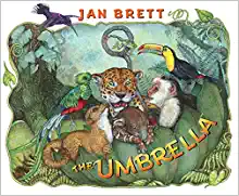 Book Cover: The Umbrella