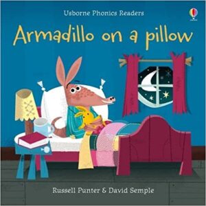 Book Cover: Armadillo on a Pillow