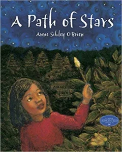 Book Cover: A Path of Stars