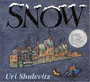 Book Cover: Snow