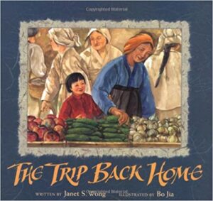 Book Cover: The Trip Back Home