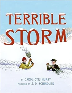 Book Cover: Terrible Storm