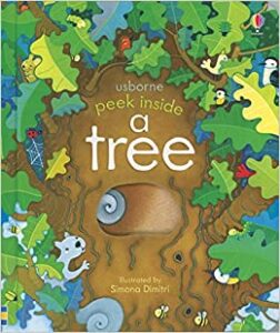 Book Cover: Usborne Peek Inside a Tree