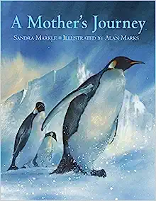 Book Cover: A Mother's Journey