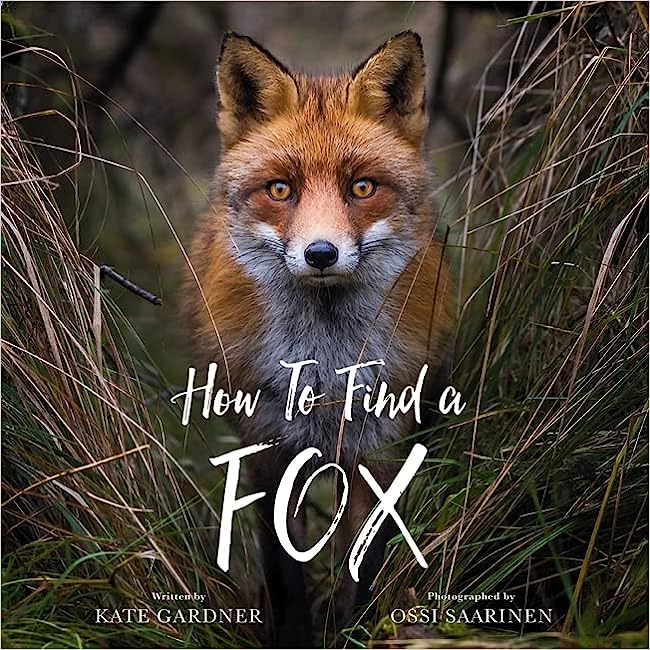 Book Cover: How to Find a Fox