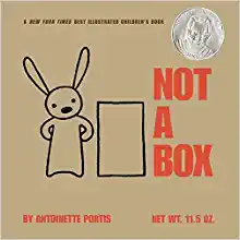 Book Cover: Not a Box