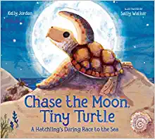 Book Cover: Chase the Moon, Tiny Turtle