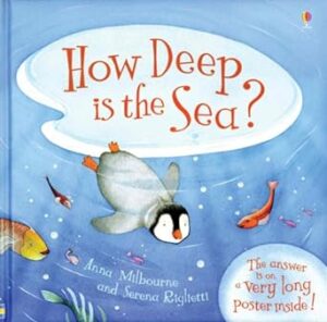 Book Cover: How Deep is the Sea